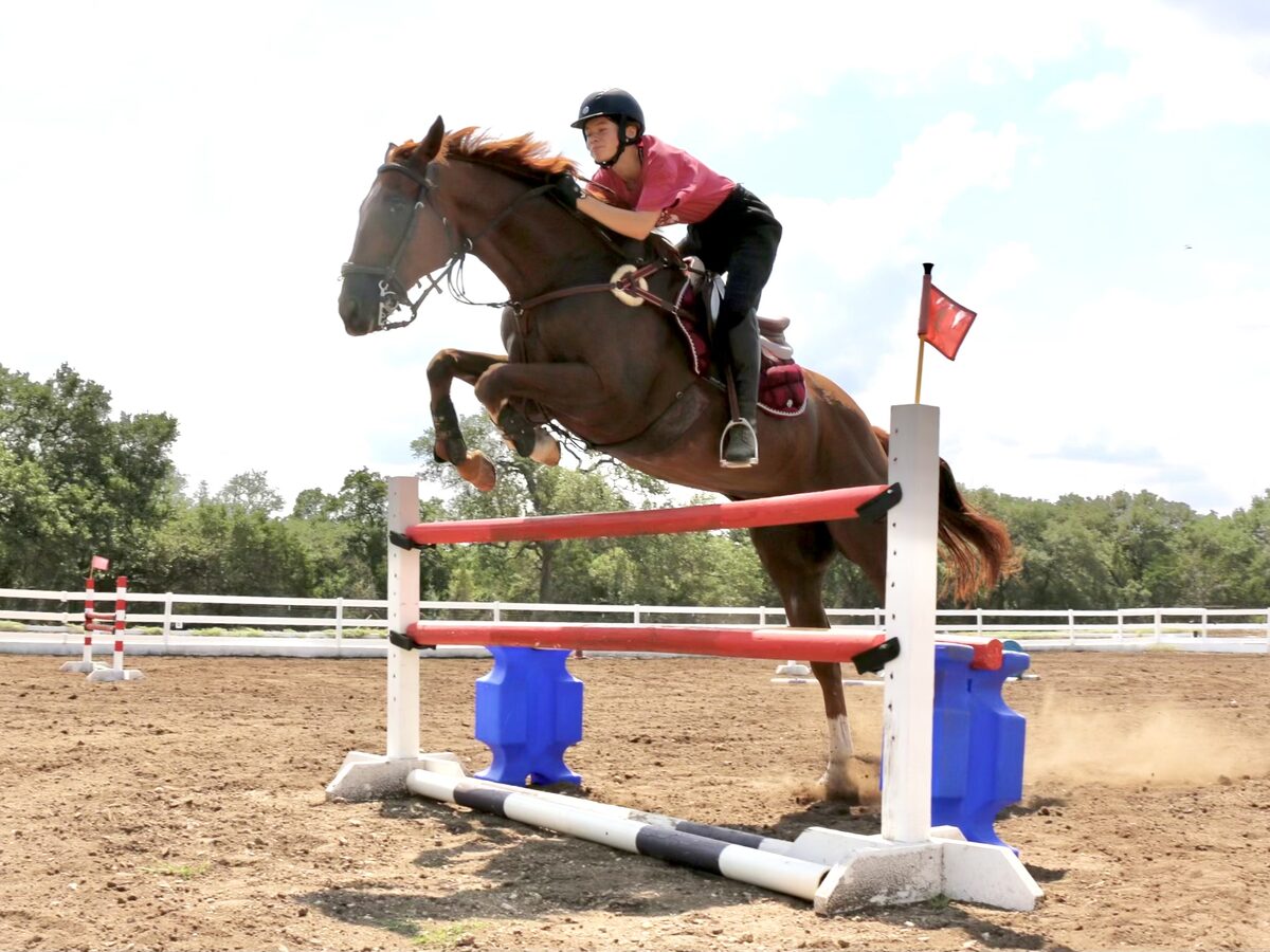 Rider training in the arena at Black Canyon Stables